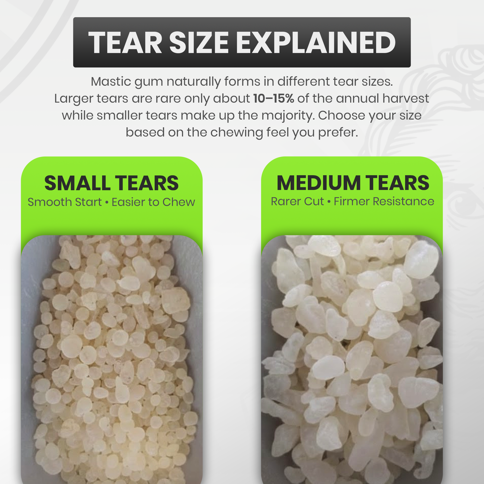 Titans Jaw — Small Tears Mastic Gum - Image 7
