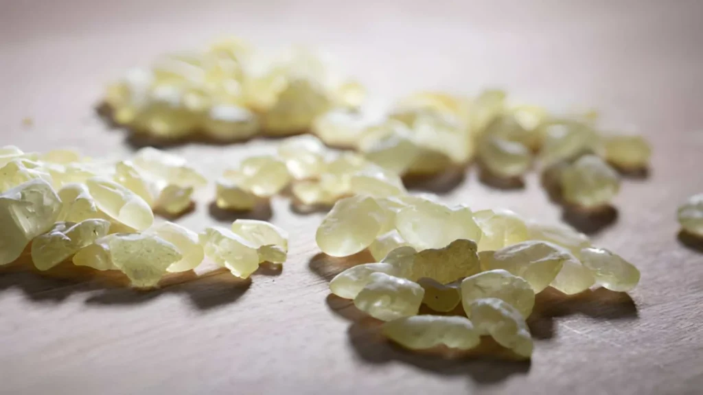 best mastic gum