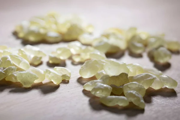 best mastic gum