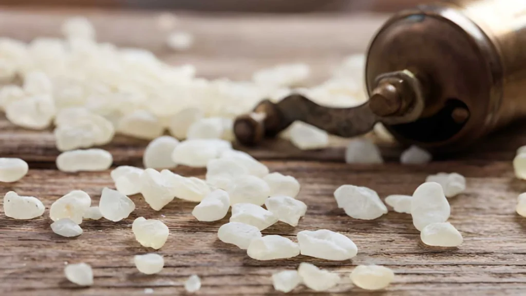 best quality mastic gum